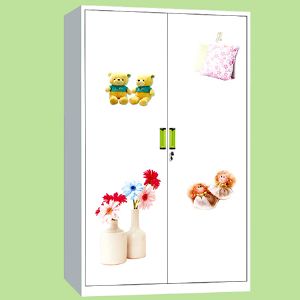 XW-BG106 二门印花柜 